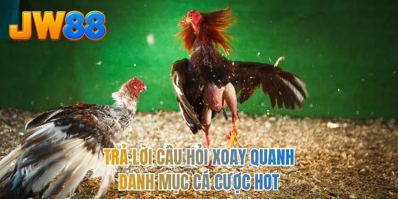 Trả lời câu hỏi xoay quanh danh mục cá cược hot
